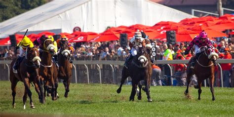 horse racing gallop|south africa racing gallops.